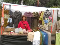 feria bolson 2013
