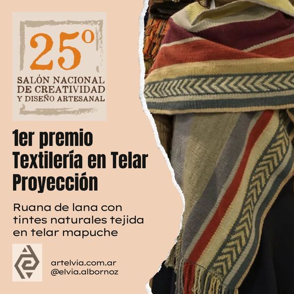 1º Premio Salon Nacional Creatividad y Diseño Berazategui 2024